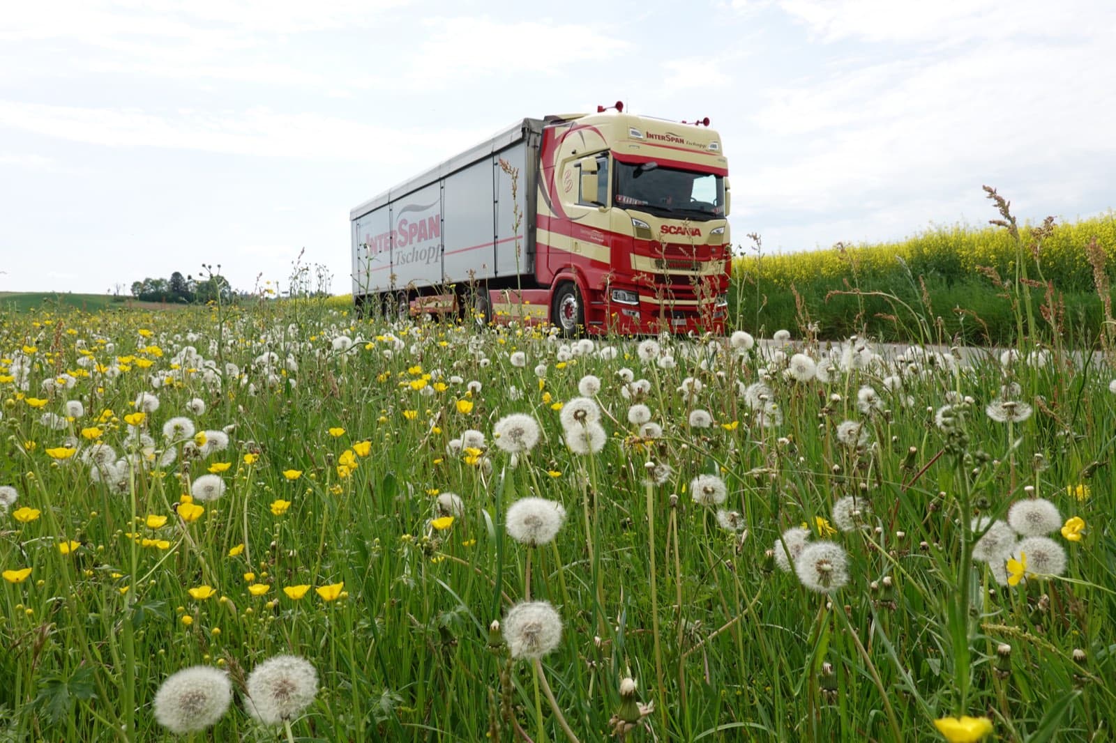 Einblick in den Arbeitsalltag der Interspan Tschopp AG